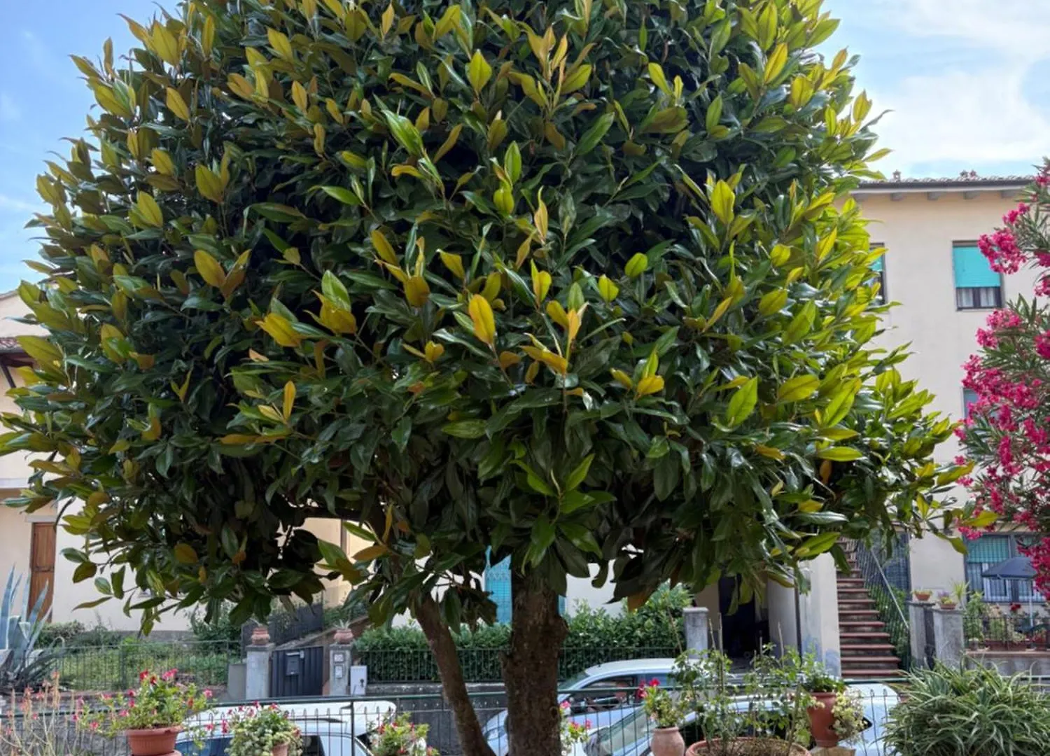 Appartamento Magnolia Mercatale Val Di Pesa